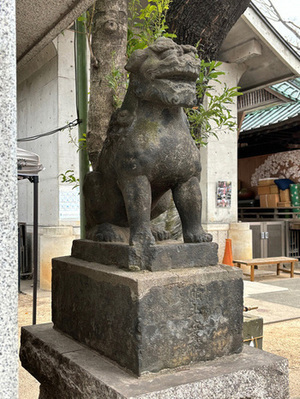 写真:戸越八幡神社石造狛犬(向かって右)