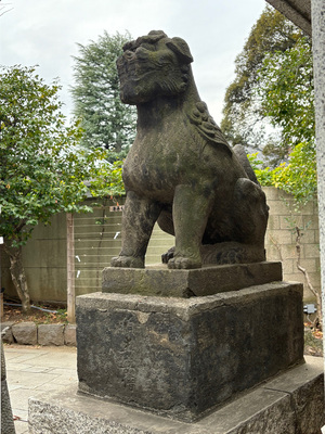 写真:戸越八幡神社石造狛犬(向かって左)