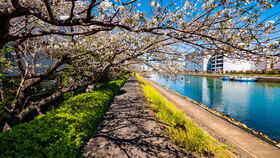 写真:品川区内のロケ地2