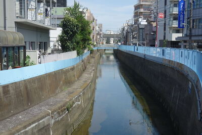 写真：立会川