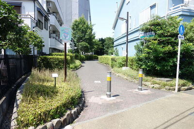 写真：暗渠化された立会川