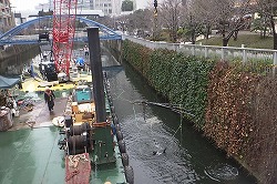 写真：目黒川の水質改善2