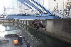 写真：目黒川の水質改善3