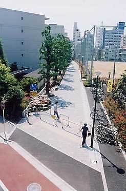 写真:主要生活道路の写真