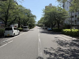 写真：補助第31号線2-1　現状2（整備済）