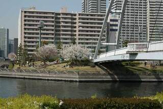 写真:東品川海上公園