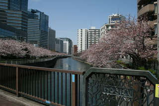 写真:寄木橋