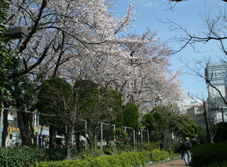 写真:立会道路