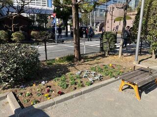 写真:園内の花壇や植栽