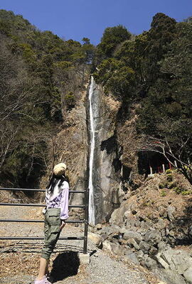 写真:見神の滝をみている人