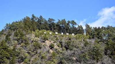 写真:マウントしながわ遠景