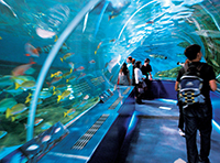 写真:水族館