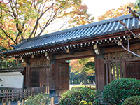 写真:戸越公園