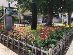 写真：平和の花壇(西大井駅前)