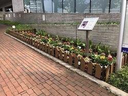 写真：平和の花壇(五反田文化センター)