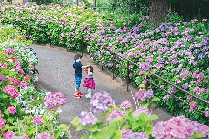 写真:公園フォト大賞「お兄ちゃんのやさしさ」
