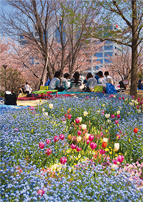 写真:花と緑の公園賞「春らんまん」