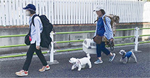 写真:ペット同行避難体験の様子