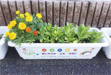 写真：子どもたちが育てた人権の花
