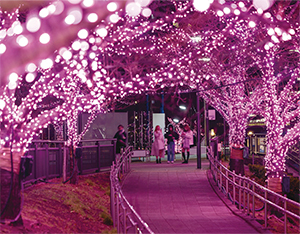 写真：イルミネーション点灯の様子