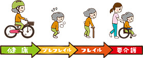 イラスト:フレイル進行イメージ
