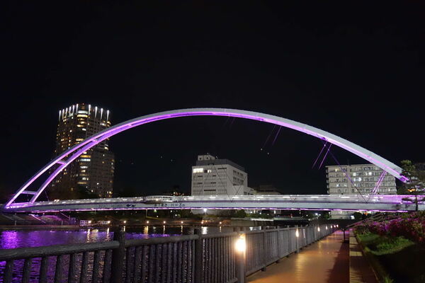 写真：パープルライトアップ橋