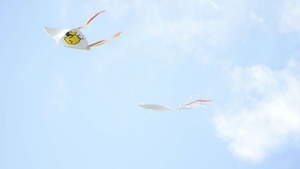 写真:空を舞うたこの様子