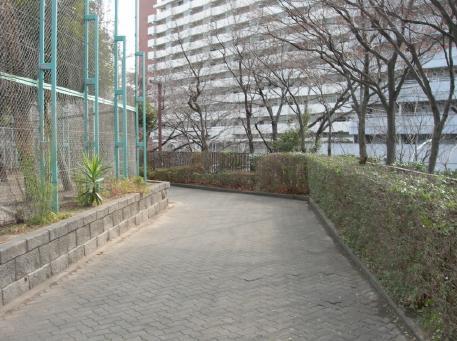 写真：八潮南バス停からの道順2