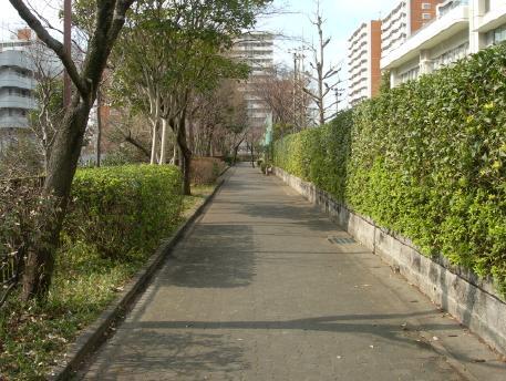 写真：大井消防署八潮出張所前バス停からの道順6