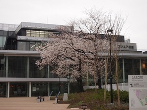 写真:スクエア荏原 桜