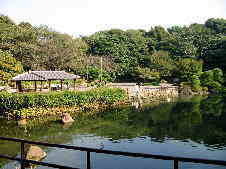 写真:公園中央の池