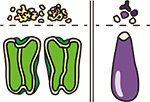 イラスト:野菜の切り方の一例