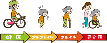 イラスト:健康、プレフレイル、フレイル、要介護と進む様子