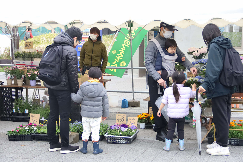 花の鉢植えと参加者