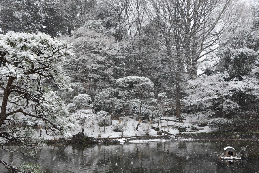 戸越公園の池に降る雪
