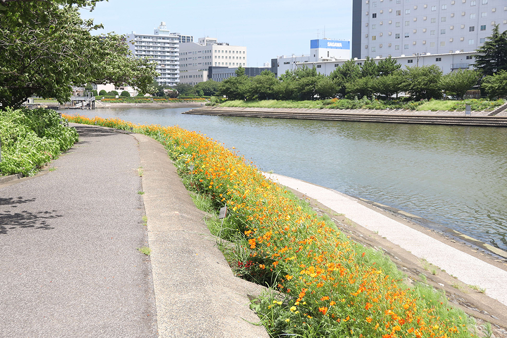 花海道広め