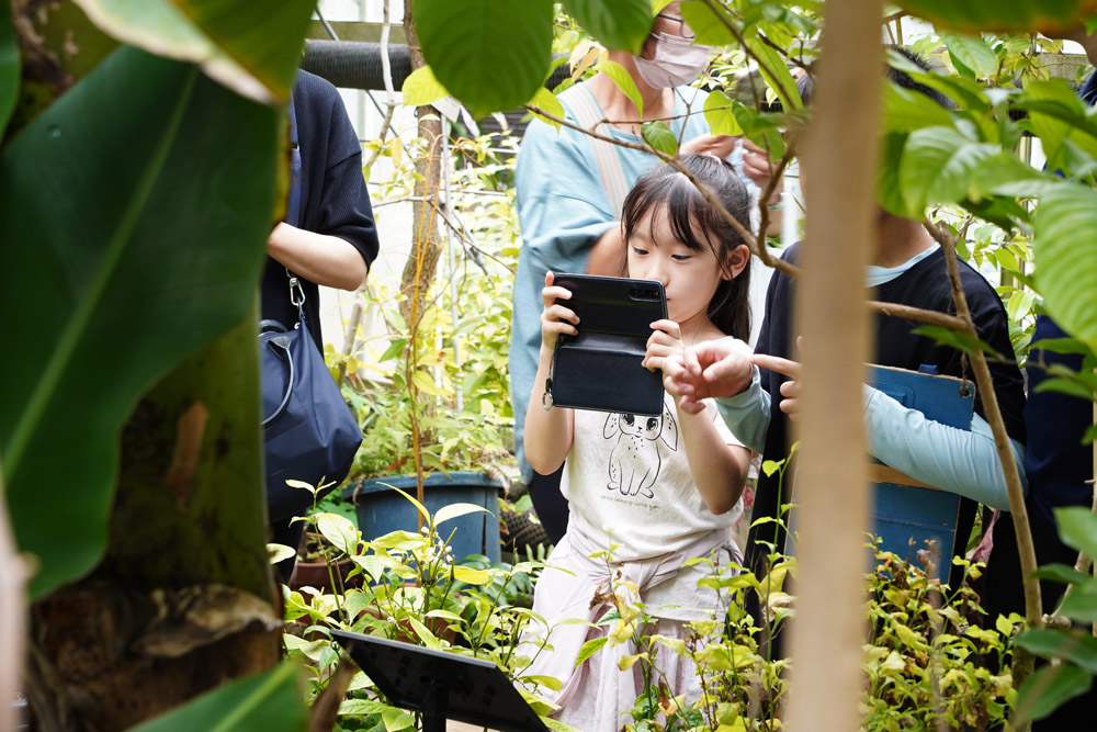 星薬科大学公開講座風景の写真