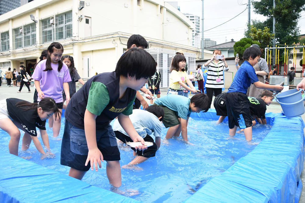 魚をおいかける子どもたち