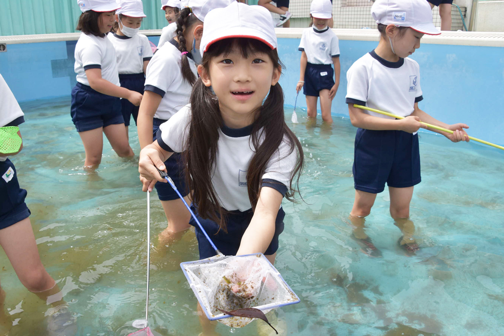 大切な命を救え ヤゴ救出大作戦