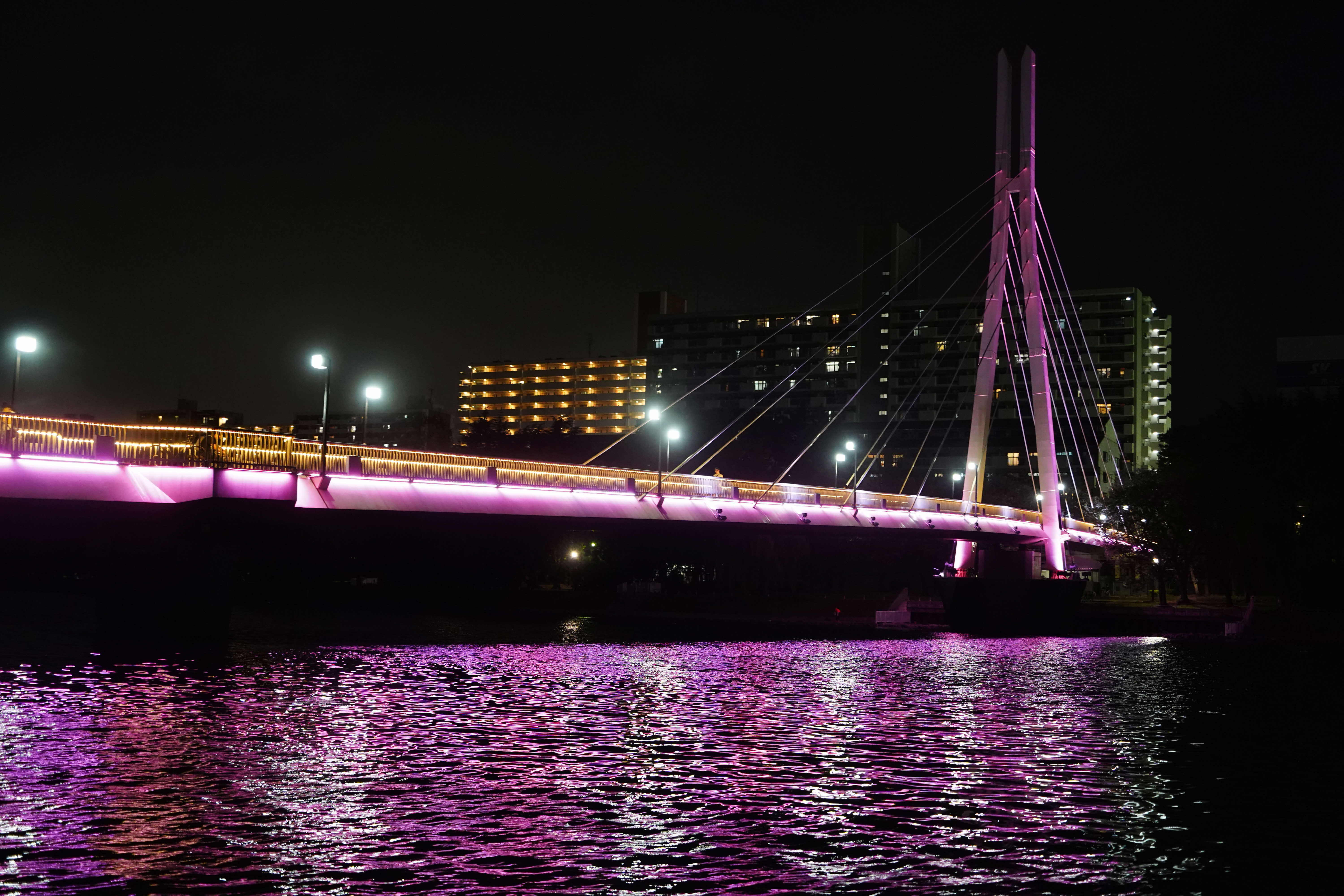 ピンク色にライトアップされた橋の写真