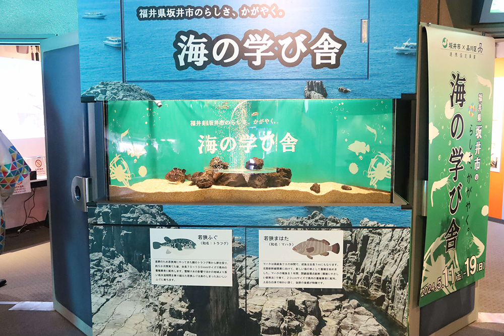 特別展会場の入り口に設置された水槽の画像