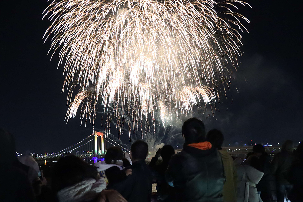 お台場の花火と見学する人の画像