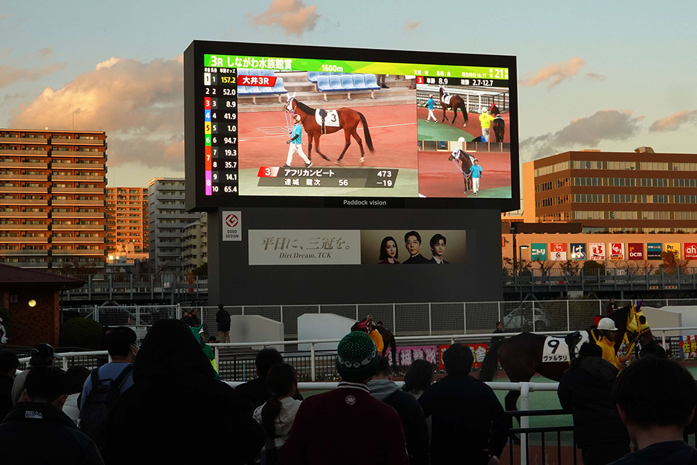 大井競馬場の大型ビジョン画像