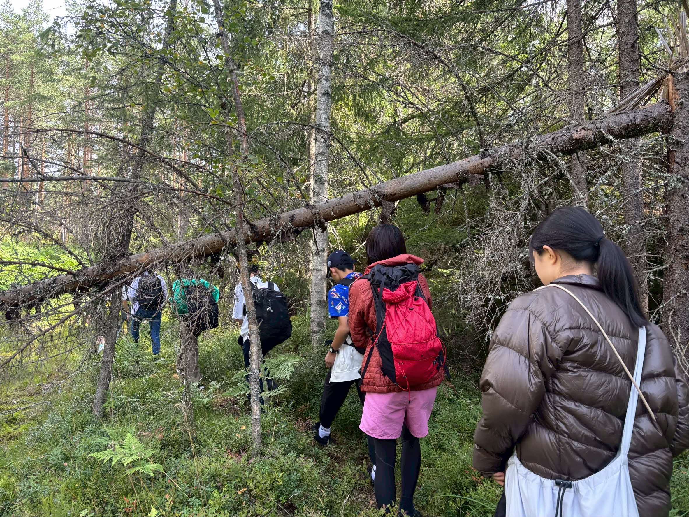 フィンランド派遣現地の様子