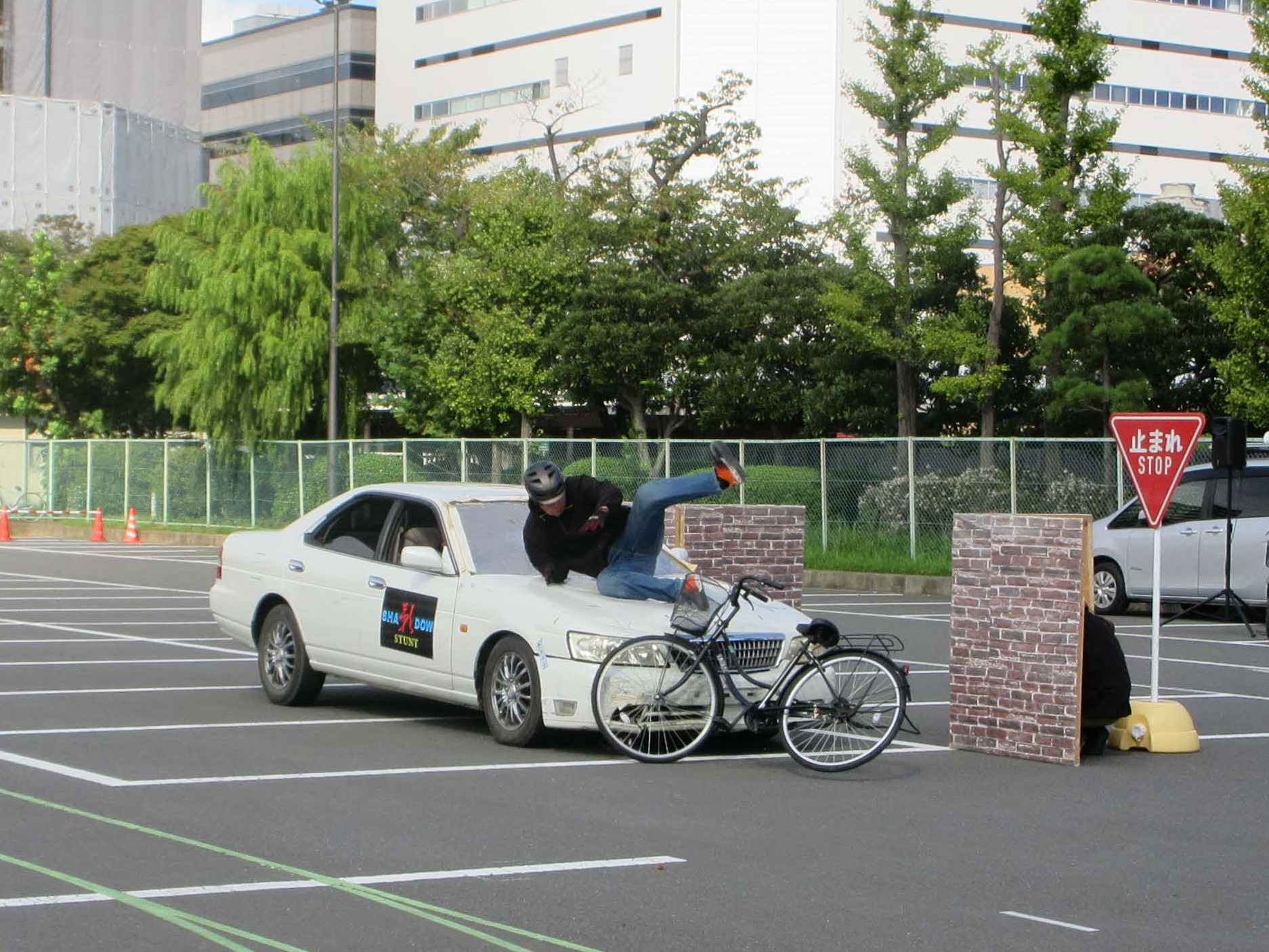 スケアード・ストレイト画像