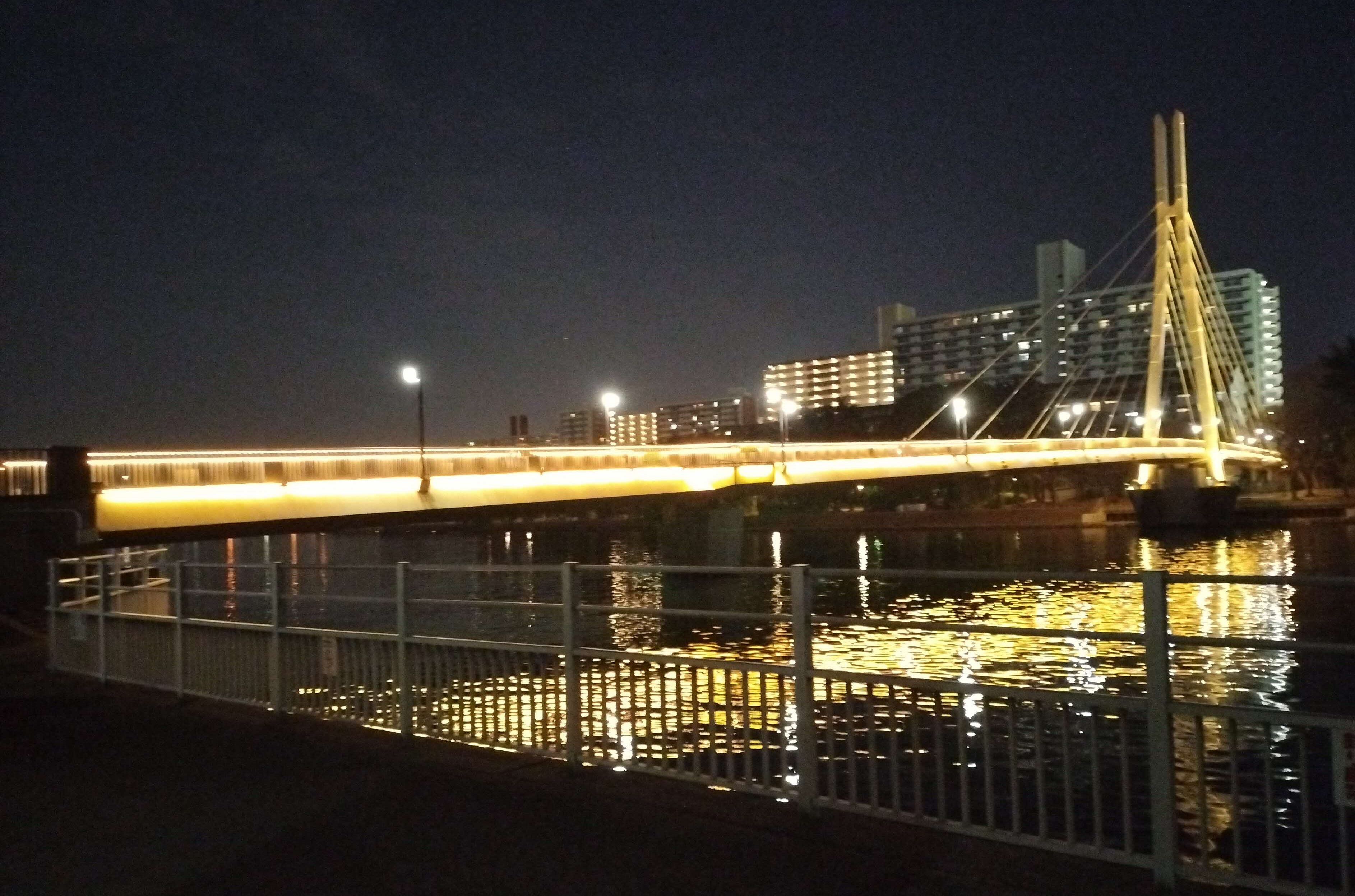 昨年度のライトアップの様子