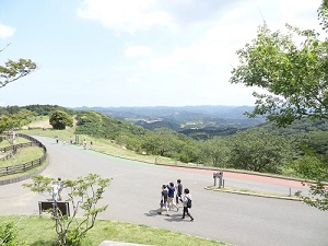 マザー牧場の風景