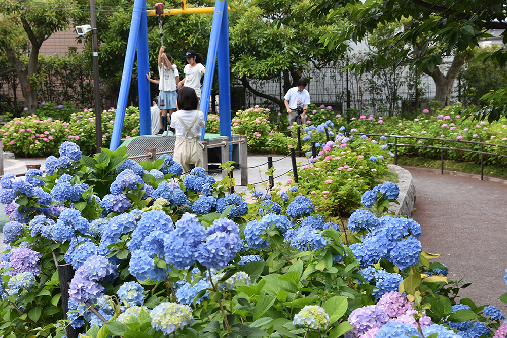 トリム広場