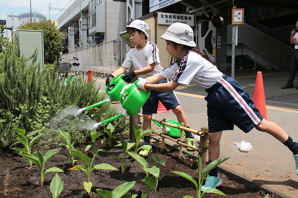 植え付け後の水やり