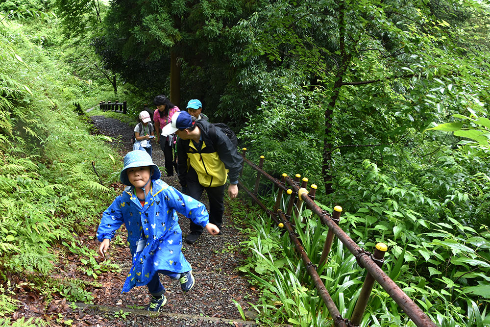 山道を元気に歩く子供